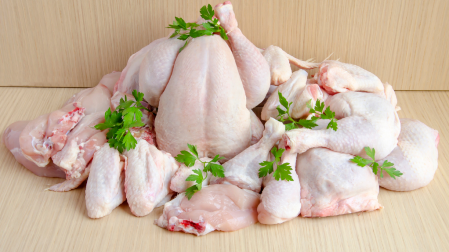 Jual ayam potong fresh terdekat Jual ayam potong fresh terdekat