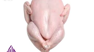 belanja ayam fresh online